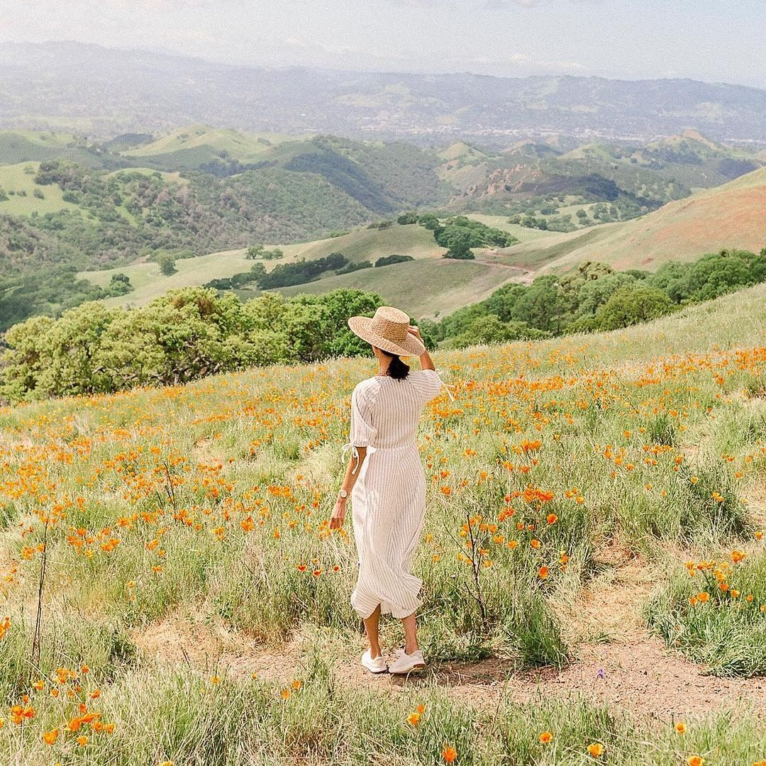 Woman stands in a field of wildflowers looking out at the view from Mt. Diablo State Park