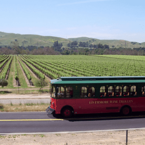 Wine Trolley-Vineyards