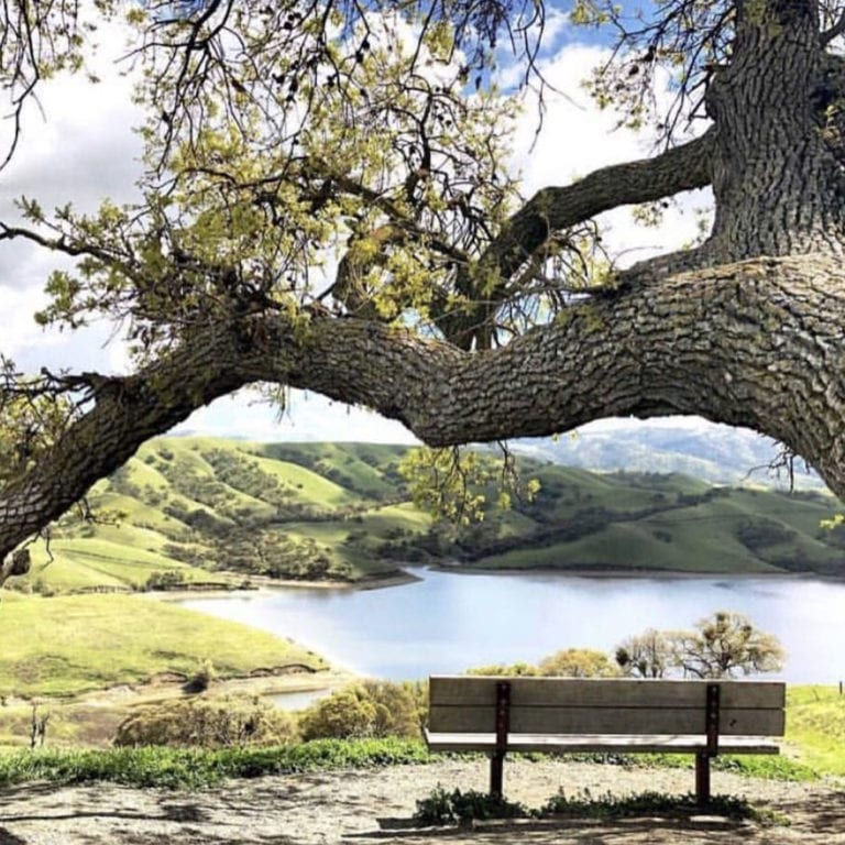 A perfectly positioned bench overlooking the lake on East Shore Trail. Del Valle Regional Park, Livermore, CA